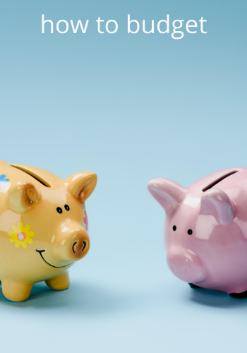 How to Budget Penny Saver Usa