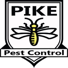 Bed Bug Treatments, Rodent Exclusions, One Shots roaches ants spiders