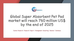 Global Super Absorbent Pet Pad market research